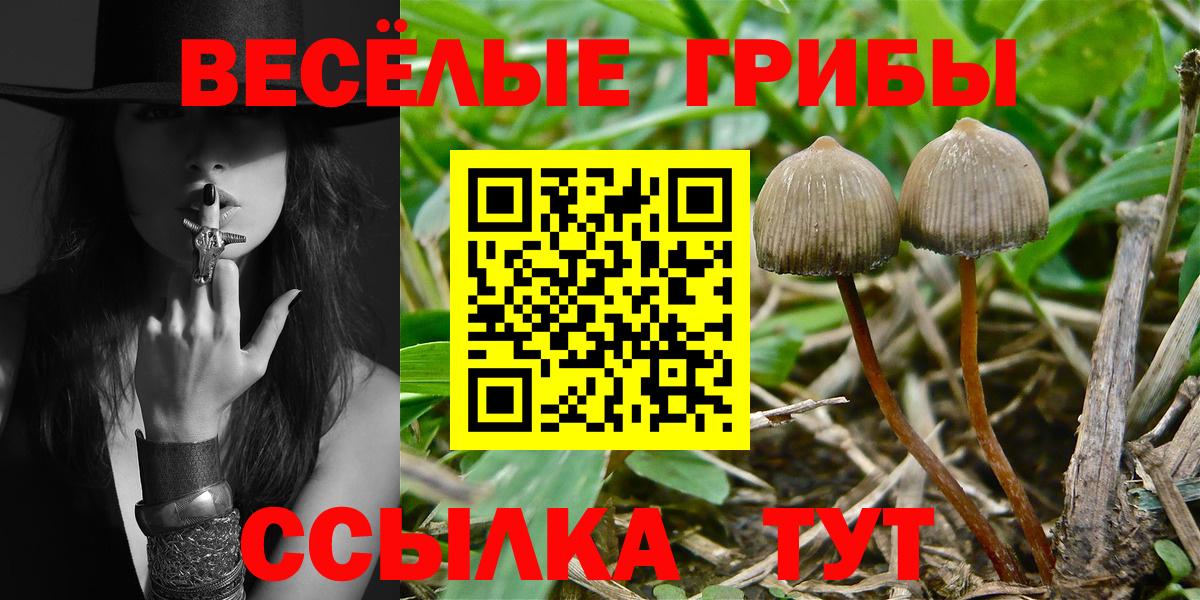 Псилоцибиновые грибы Magic Shrooms  Псилоцибиновые грибы GOLDEN TEACHER  Елабуга  Вход с VPN 